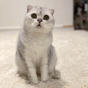 Meet your Posher, Catherine